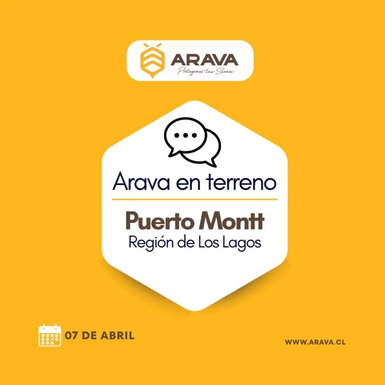 Instagram post from aravachile. This post is in position 1.