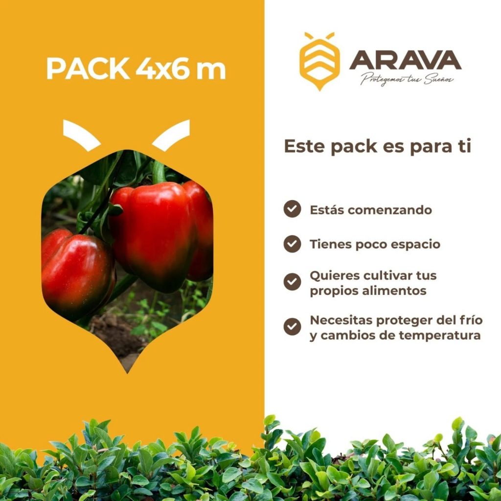 Instagram post from aravachile. This post is in position 2.