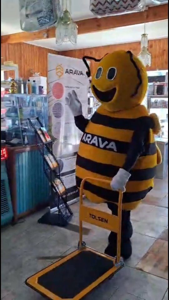 Instagram post from aravachile. This post is in position 1.