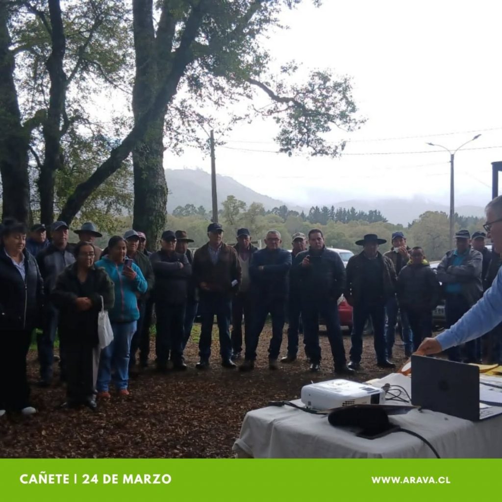 Instagram post from aravachile. This post is in position 3.