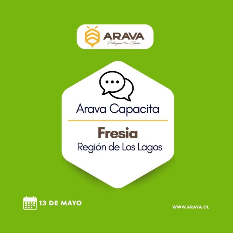 Instagram post from aravachile. This post is in position 1.