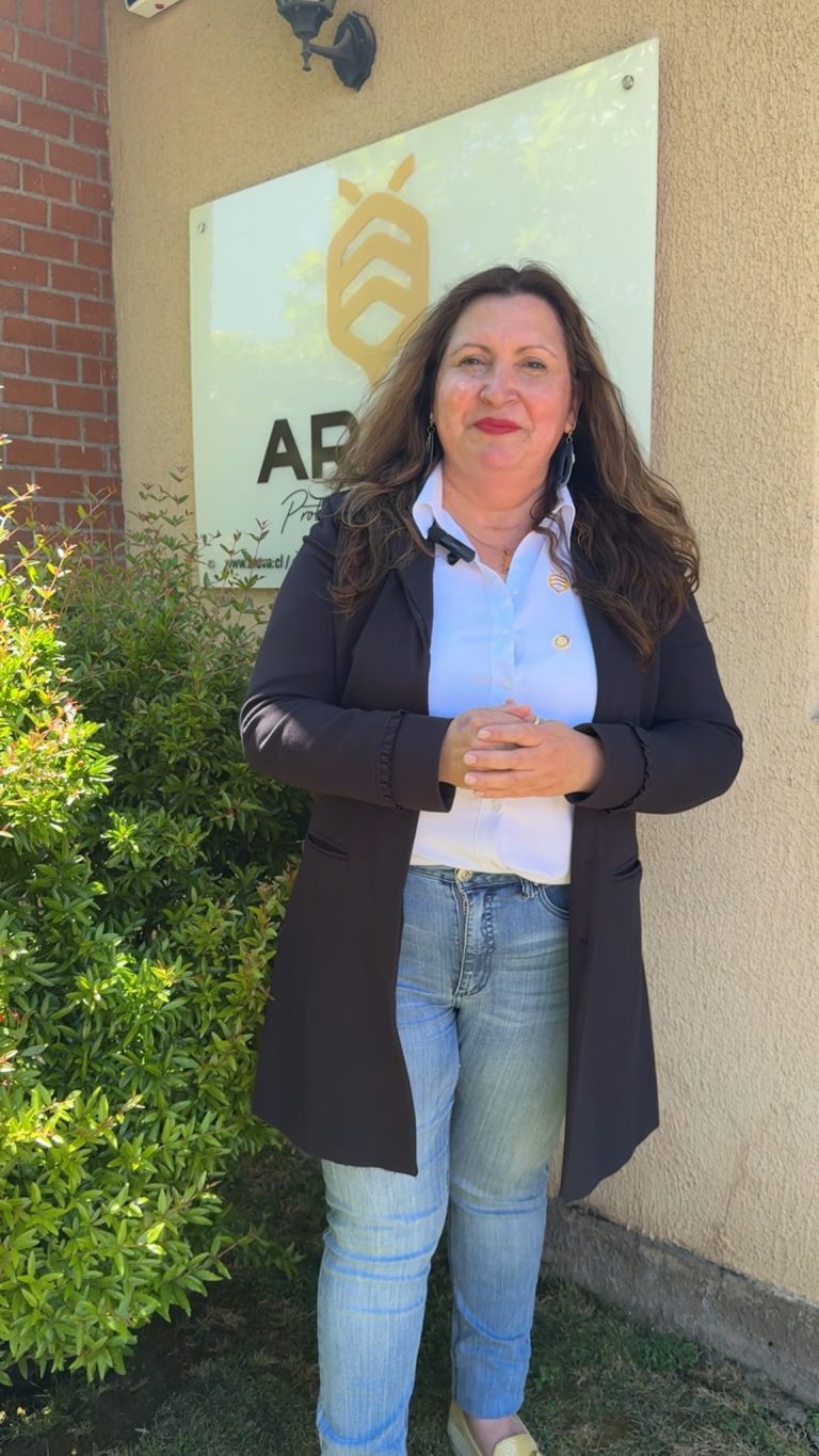 Instagram post from aravachile. This post is in position 2.