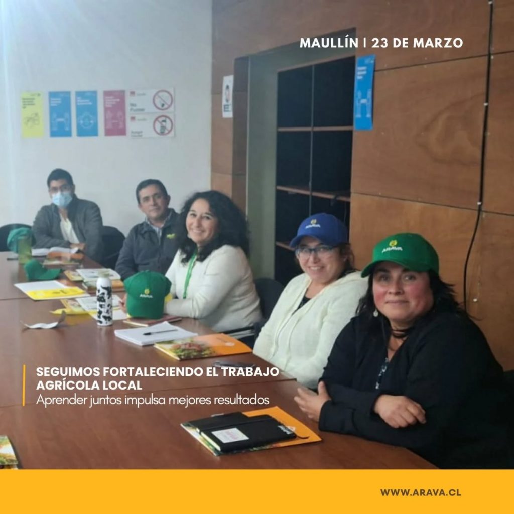 Instagram post from aravachile. This post is in position 2.