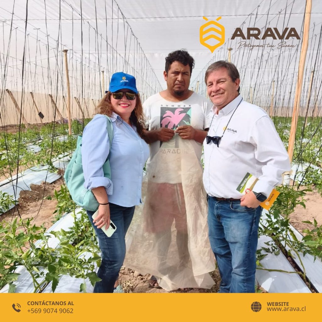 Instagram post from aravachile. This post is in position 6.