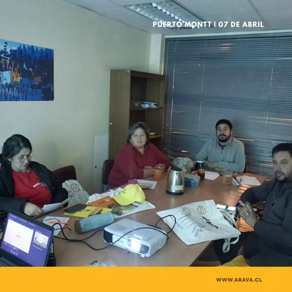 Instagram post from aravachile. This post is in position 6.