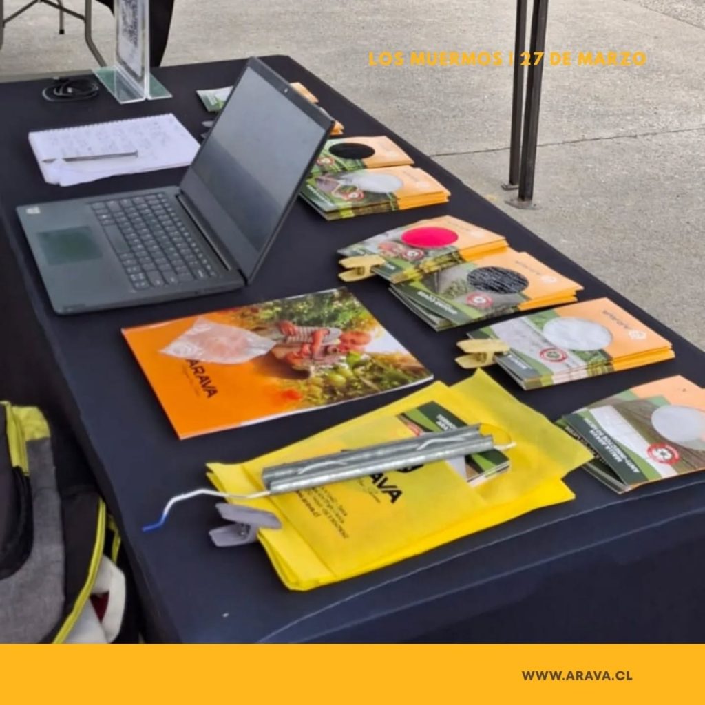 Instagram post from aravachile. This post is in position 5.