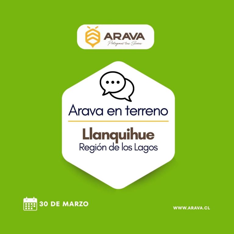 Instagram post from aravachile. This post is in position 1.