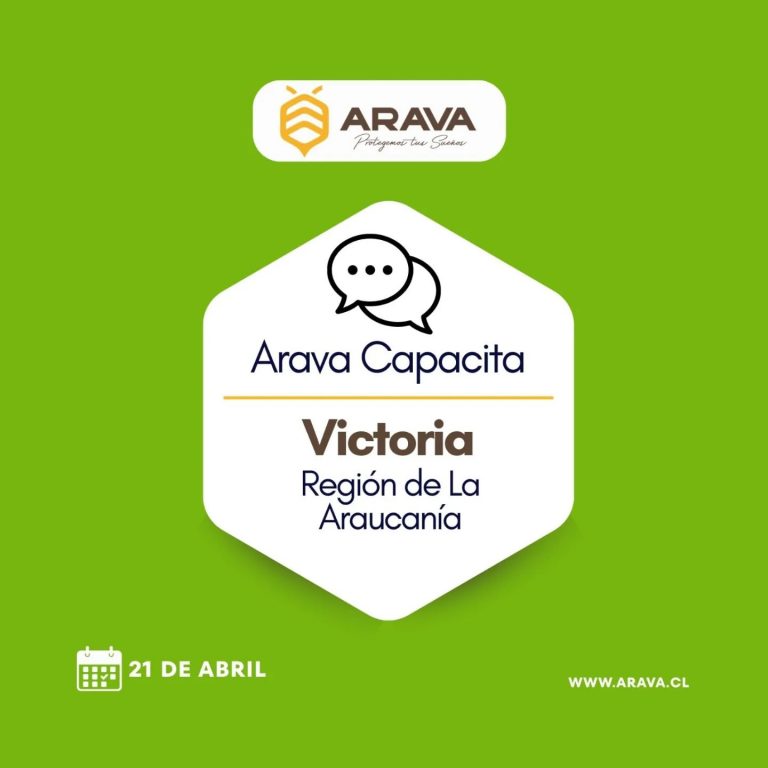 Instagram post from aravachile. This post is in position 1.